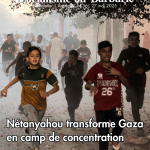 Newsletter-55