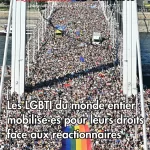 Newsletter-61