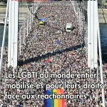 Newsletter-61